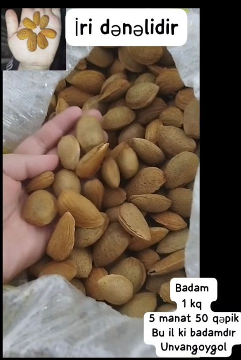 Badam – iri dənəli, qabıqlı. Məhsul: Bu ilki badam. Çəkisi və qiyməti — Gəncə