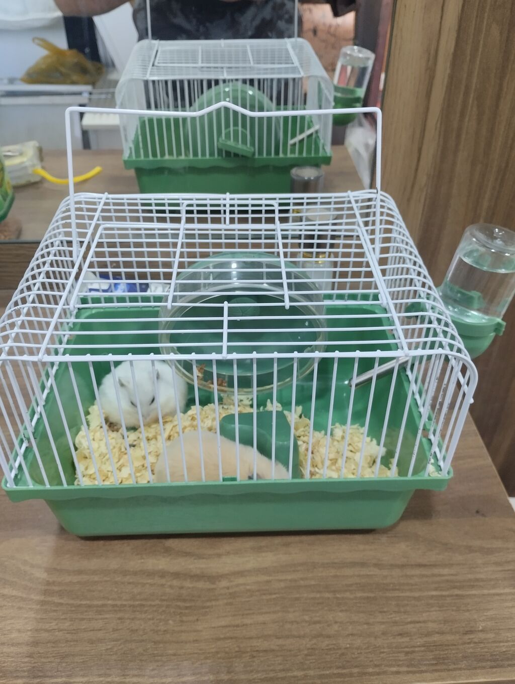 Siçança (hamster) qəfəsi və aksessuarları - Kompakt ölçülü, yaşıl — Qəfəslər, Digah