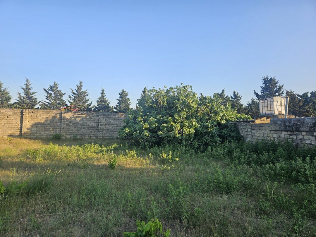 Satılır torpaq 21.5 sot — Torpaq, Bakı (3)