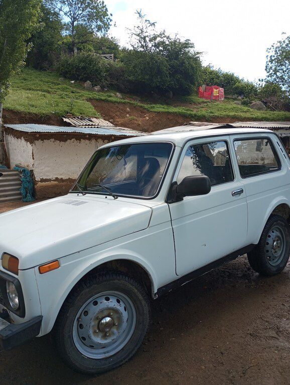 Lada (VAZ) Niva, 1.6 L, 2001 il, 164 230 km — Avtomobillər, Lənkəran (8)