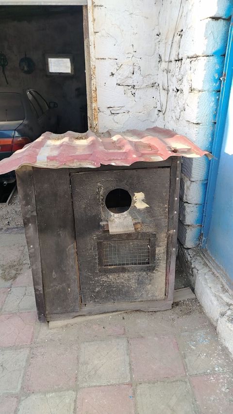 Taxta göyərçin daxması / quşxana - Material: qalın taxta karkas, iç — Masazır
