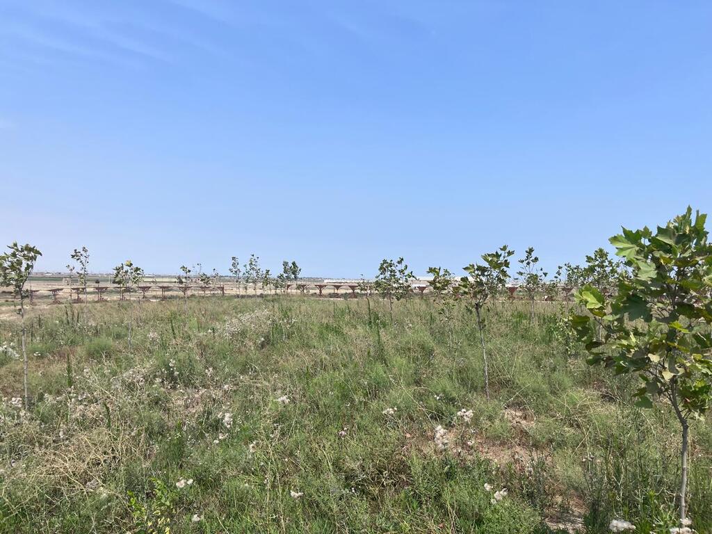 Satılır torpaq 120 sot — Torpaq, Bakı (7)