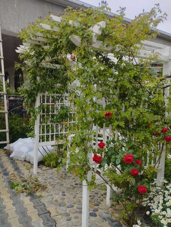 Satılır 5 otaqlı həyət evi/bağ evi 300 m² — Ev, villa, Bakı (3)