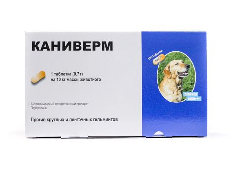 İtlər üçün antigelmintik Caniverm,1 tabletka 10 kq — Bakı