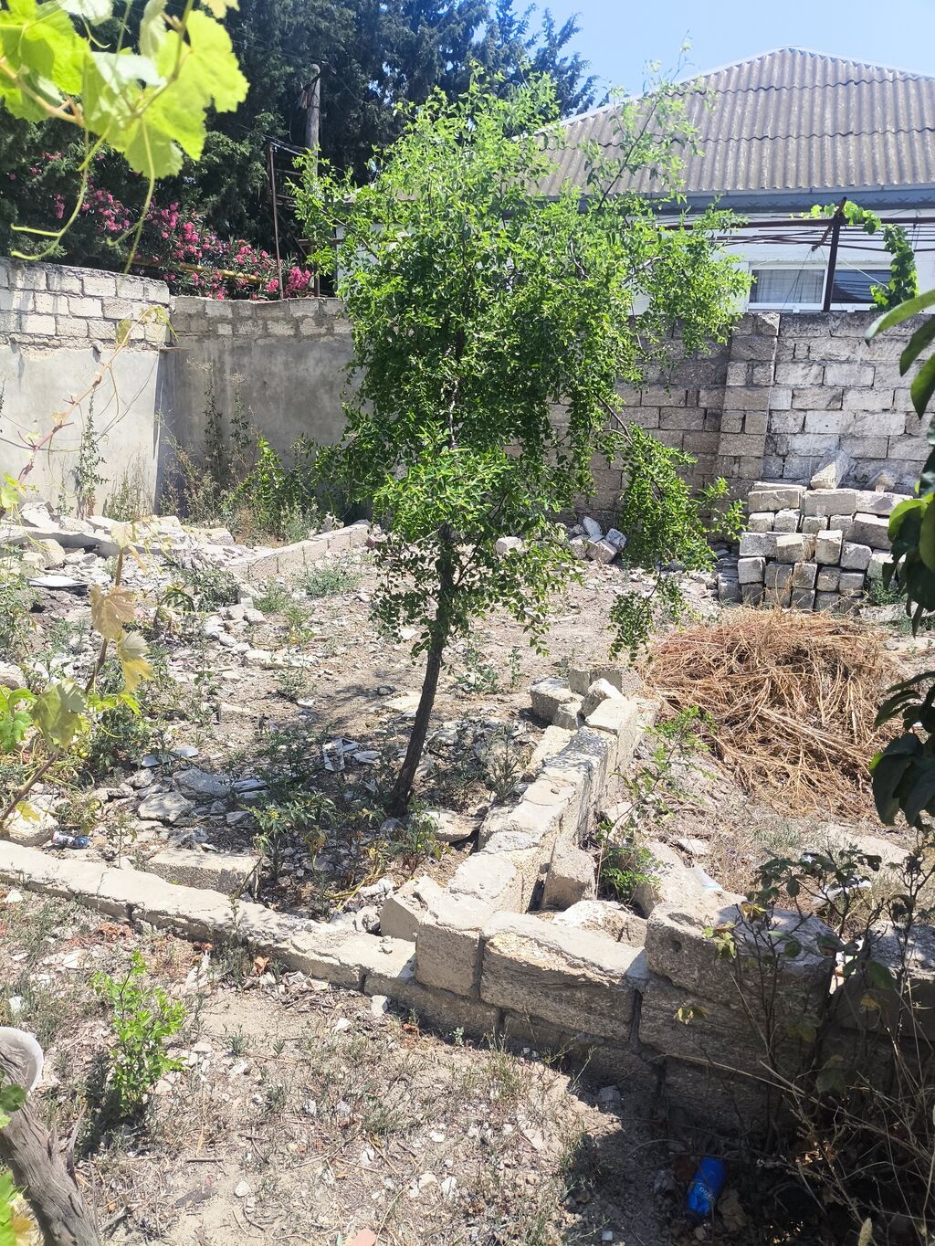 2 sot, Tikinti, Bələdiyyə — Torpaq, Digah (5)