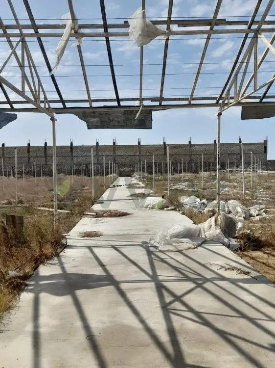 13 sot Torpaq Satılır, Buzovna, Xəzər, Bakı — Torpaq, Bakı (4)