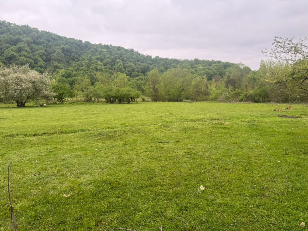 Satılır torpaq 71 sot — Torpaq, Qəbələ (3)