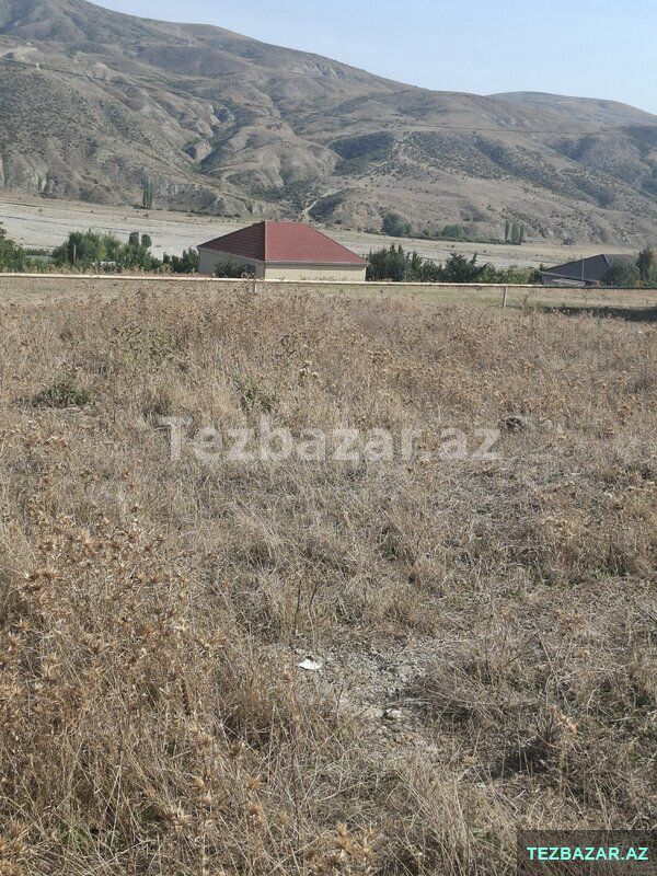 Şamaxı torpaq — Torpaq, Şamaxı (4)