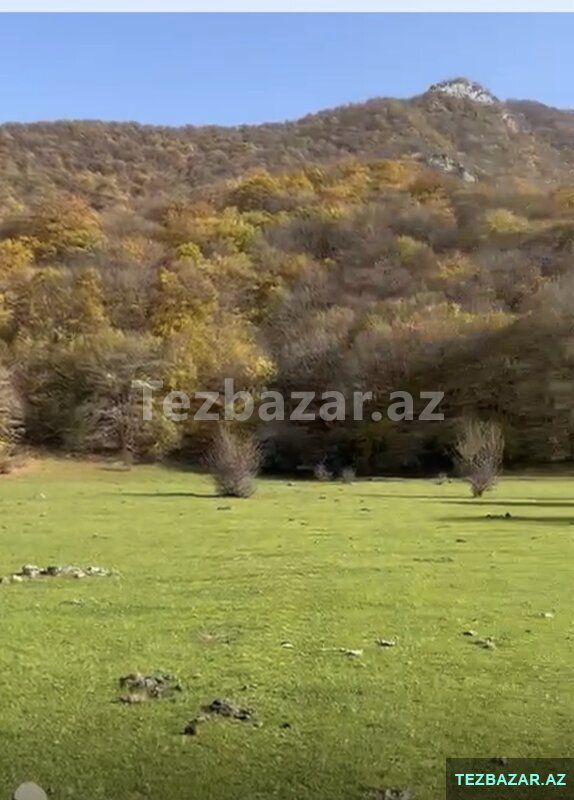 Oğuzda 81-sot — Torpaq, Bakı (6)
