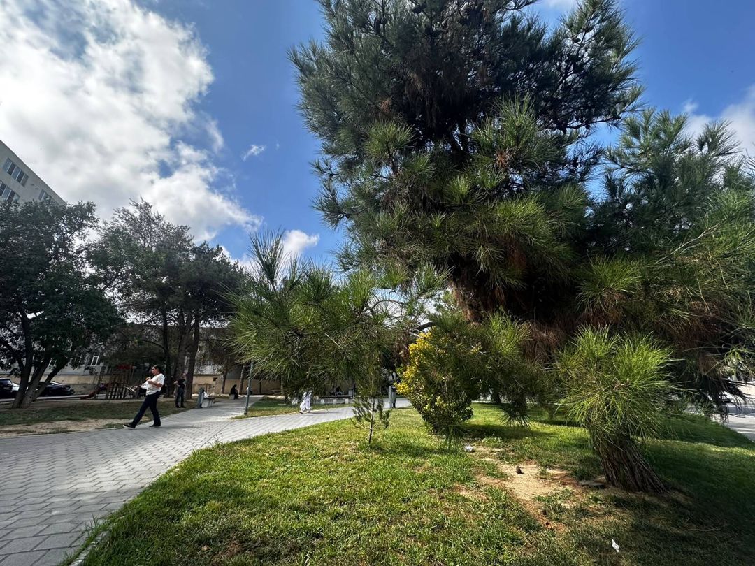 Satılır 2 otaqlı köhnə tikili 40 m² — Mənzil, Bakı (2)