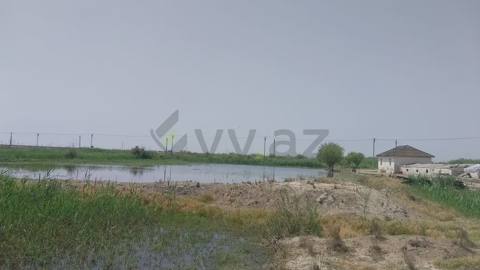 800 sot Torpaq Satılır, Salyan — Salyan