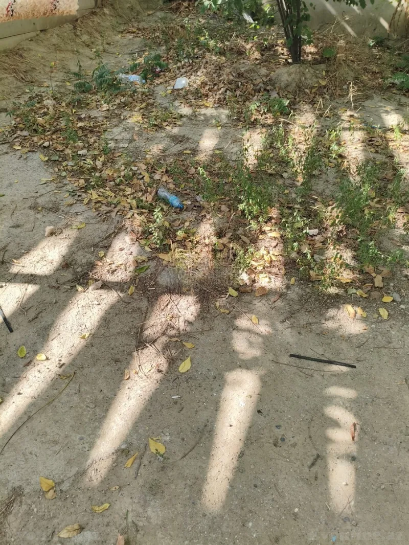 Satılır Torpaq 6 sot Bakı, Yasamal r., Elmlər Akademiyası m — Torpaq, Bakı (5)