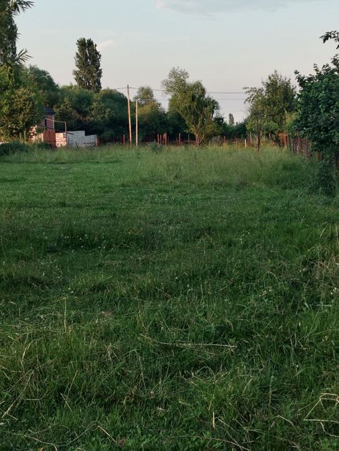 2 sot, Tikinti, Mülkiyyətçi, Kupça (Çıxarış) — Quba