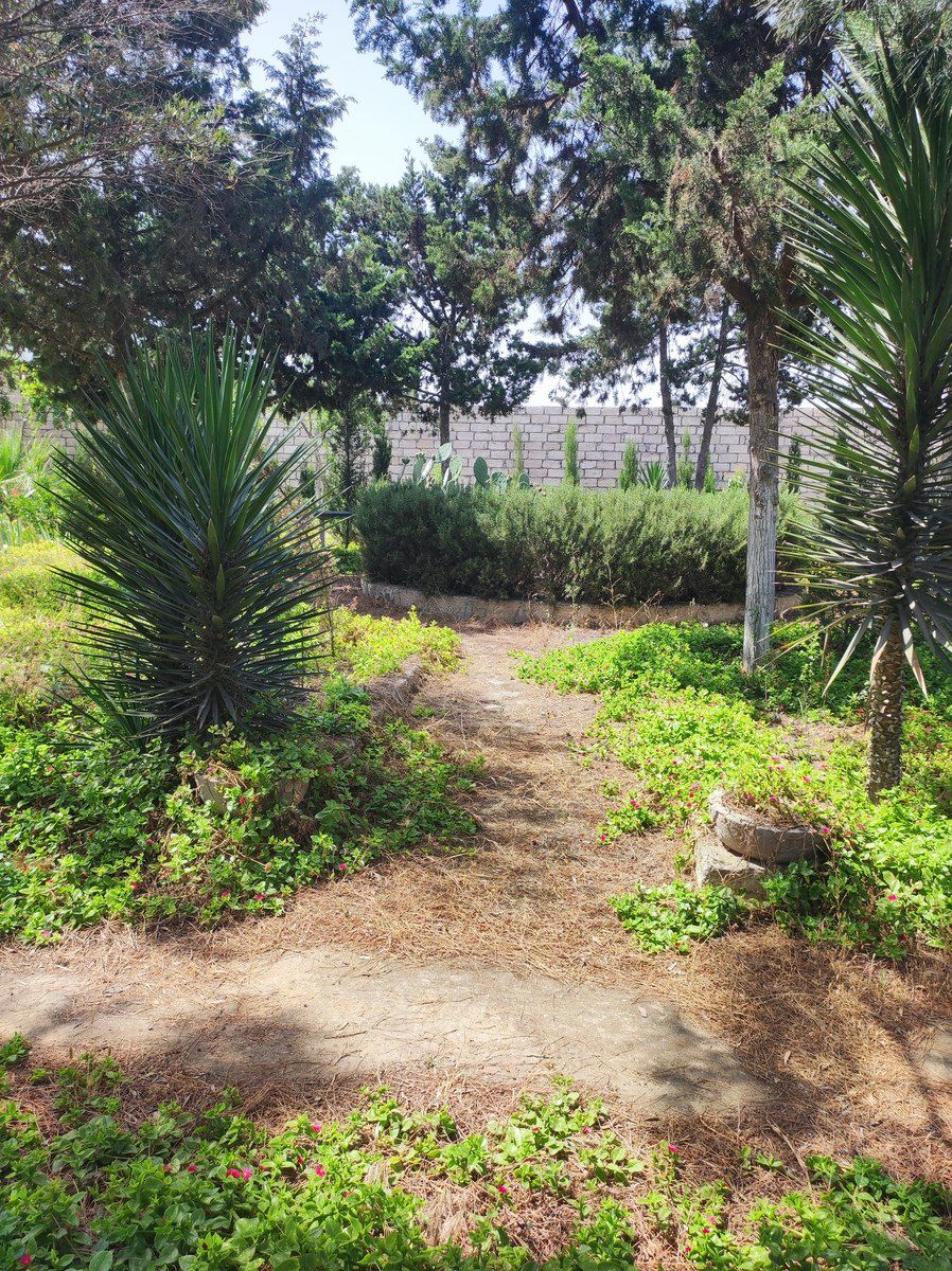 Satılır 4 otaqlı həyət evi/bağ evi 160 m² — Ev, villa, Bakı (5)