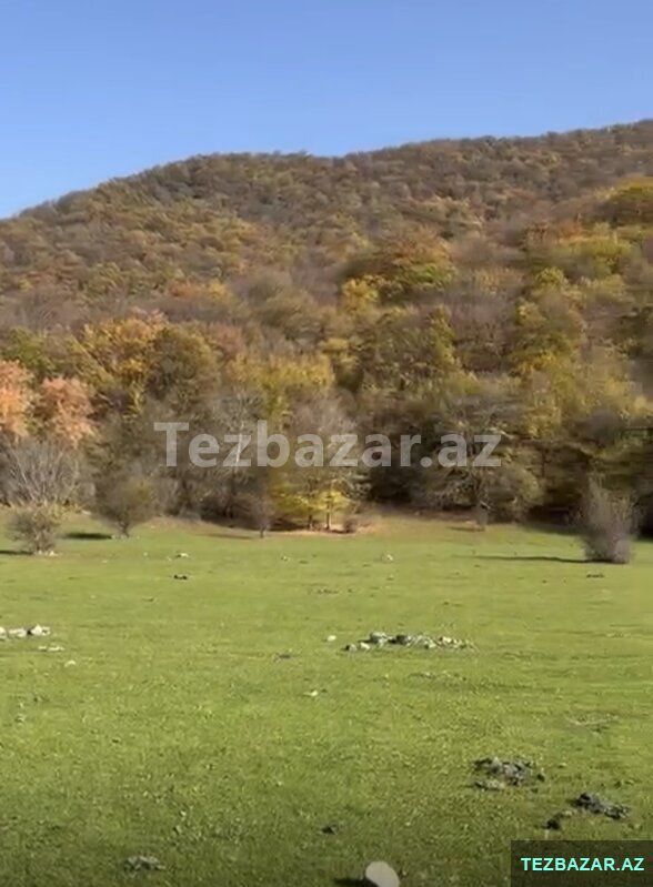 Oğuzda 81-sot — Torpaq, Bakı