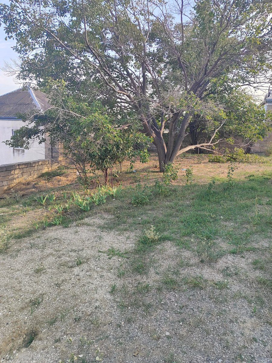 Satılır torpaq 14 sot — Torpaq, Bakı (8)