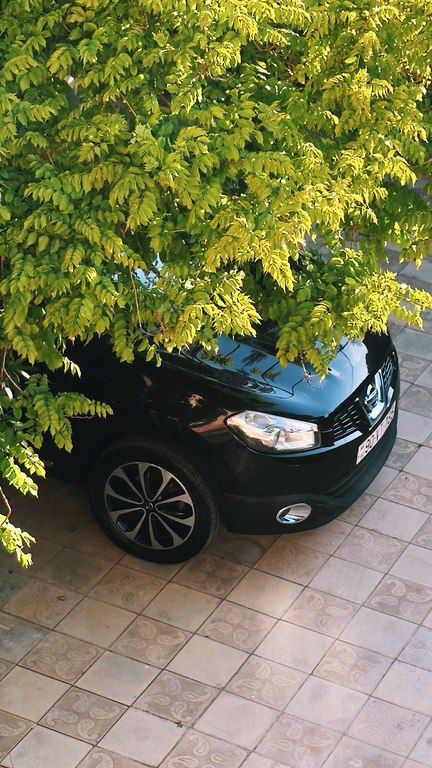 Nissan Qashqai, 2.0 L, 2013 il, 176 000 km 90-VT-185 — Avtomobillər, Bakı (2)