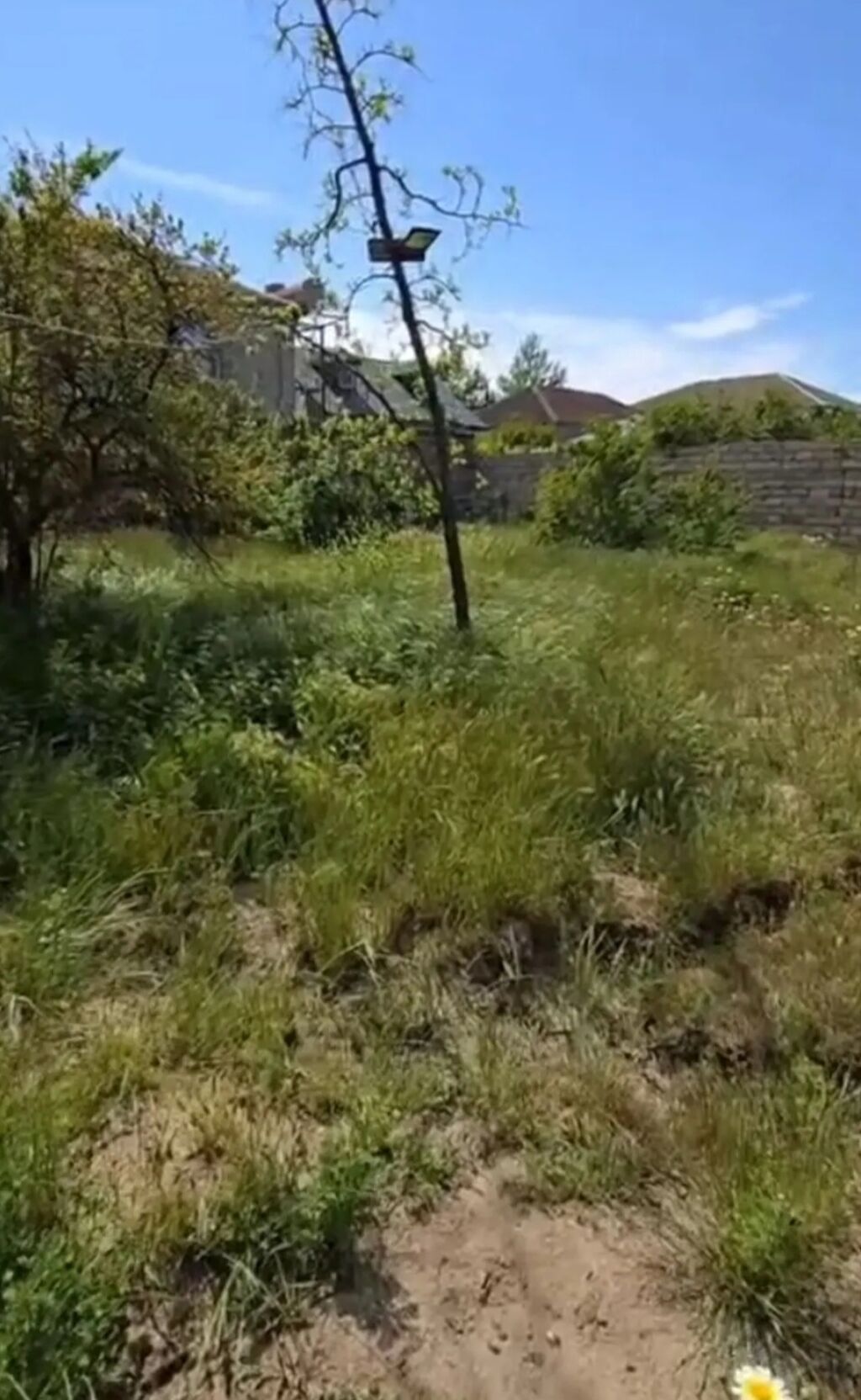 3 sot, Tikinti, Barter mümkündür, Kupça (Çıxarış) — Torpaq, Digah (3)