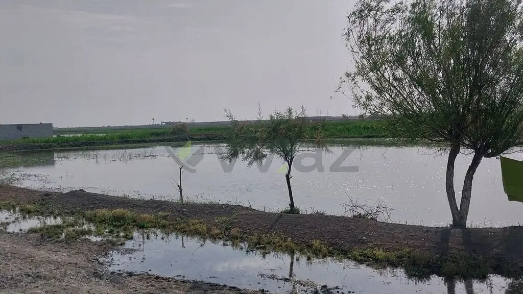800 sot Torpaq Satılır, Salyan — Torpaq, Salyan (6)