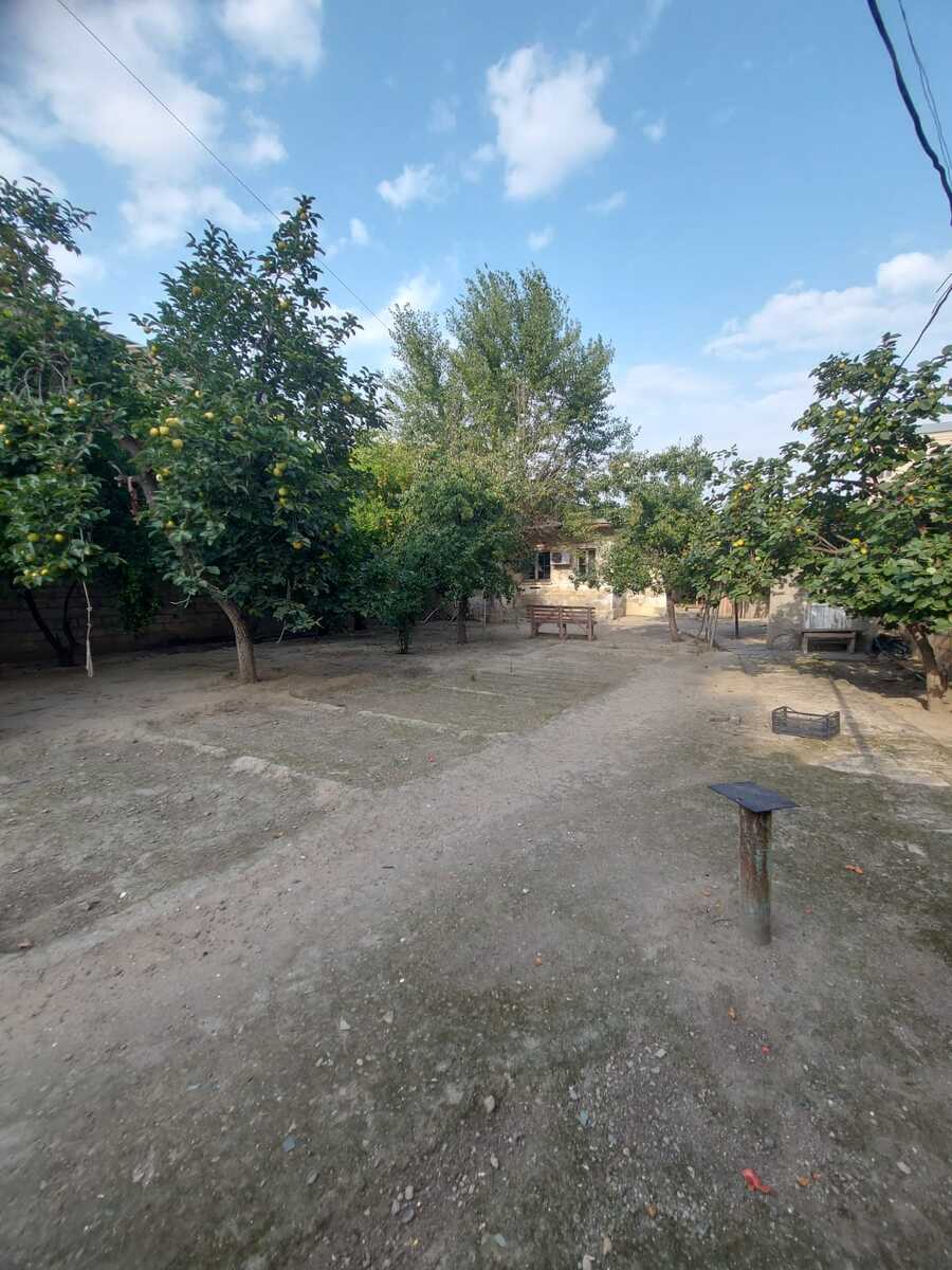 Satılır torpaq 6 sot — Torpaq, Bakı (2)