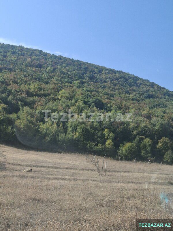 Şamaxı torpaq — Torpaq, Şamaxı (2)