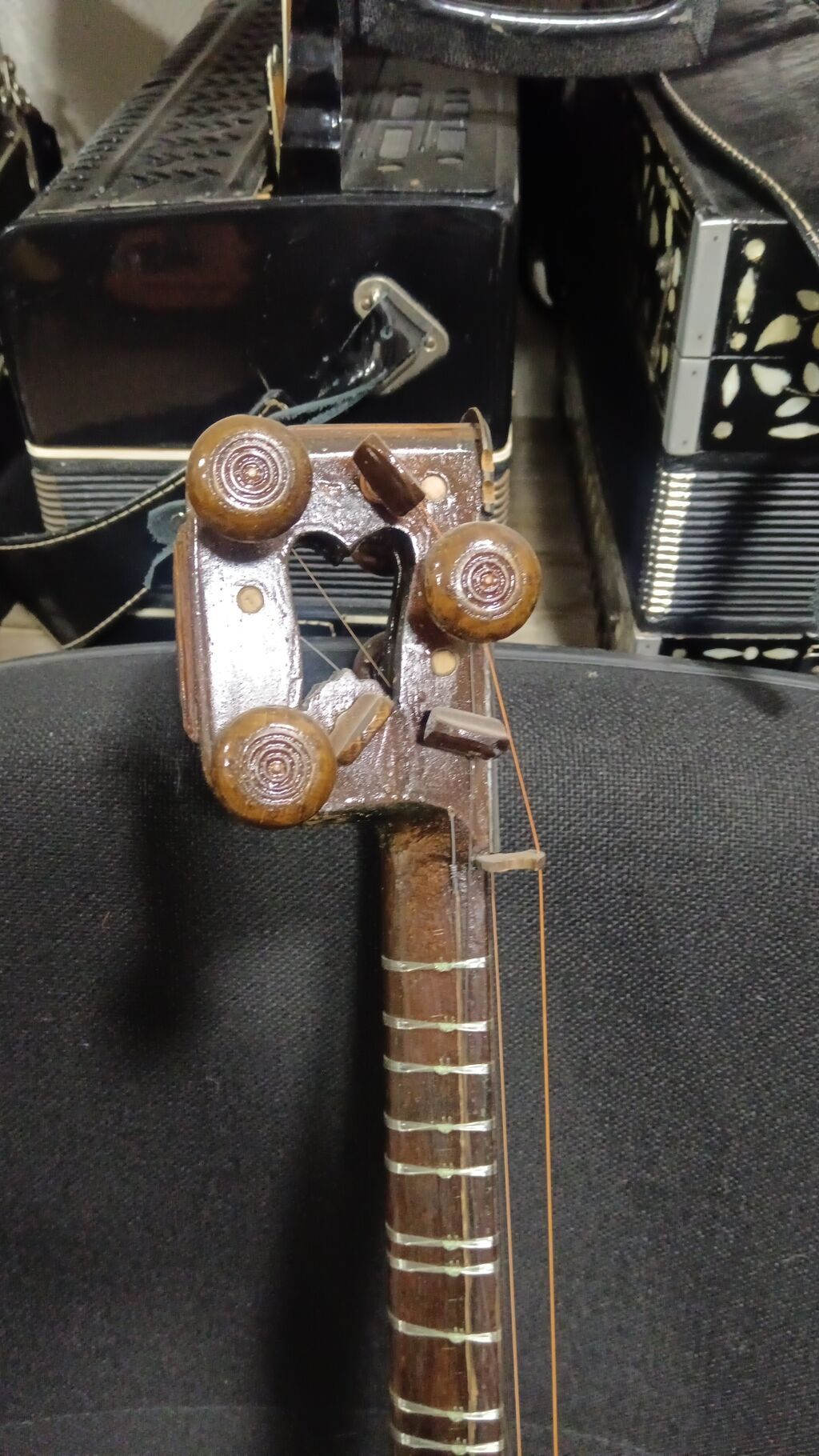 Tələbə tarı balaca — Gitarlar və digər simli alətlər, Bakı (2)