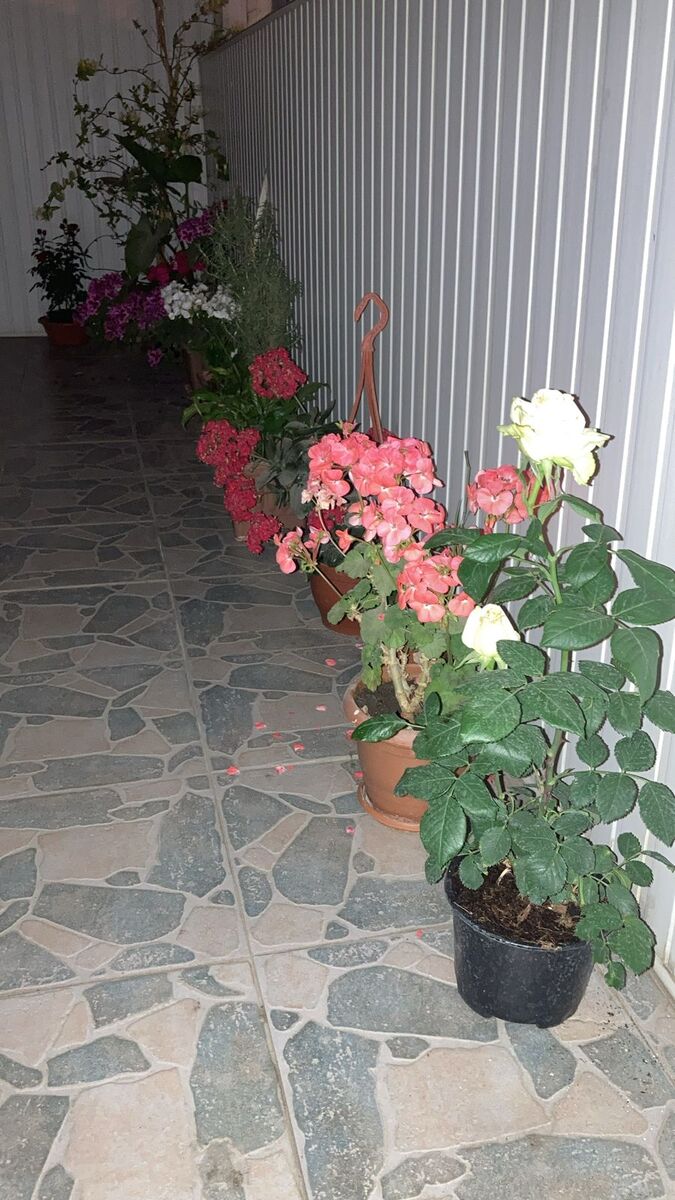 Satılır 3 otaqlı köhnə tikili 120 m² — Mənzil, Bakı (9)