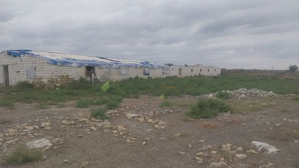 800 sot Torpaq Satılır, Salyan — Torpaq, Salyan (4)