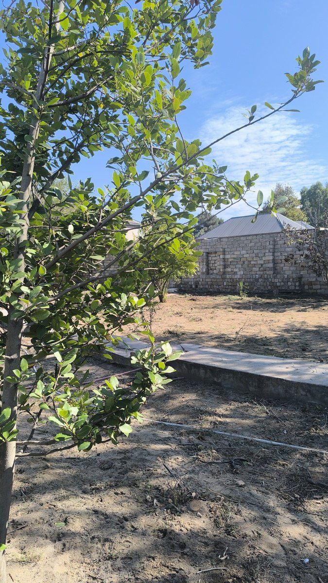 Satılır torpaq 2 sot — Torpaq, Bakı (7)