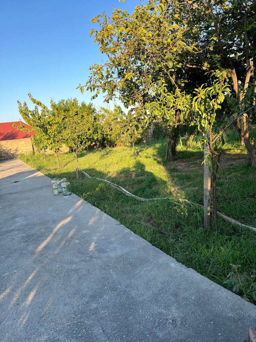 Satılır 6 otaqlı həyət evi/bağ evi 226 m² — Ev, villa, Bakı (10)