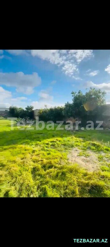 Buzovna 11 sot kupçalı torpaq satılır — Torpaq, Bakı (2)