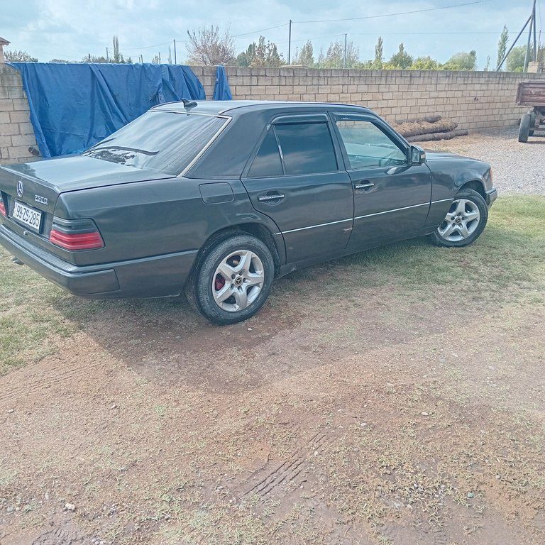 Mercedes 250 D, 2.5 L, 1992 il, 300 000 km 99-ZS-285 — Avtomobillər, İmişli (3)