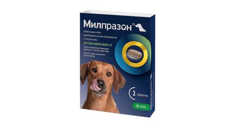 Nematodoz əleyhinə həblər Krka Милпразон 5 kq artıq itlər üçün, 1 əd — Bakı