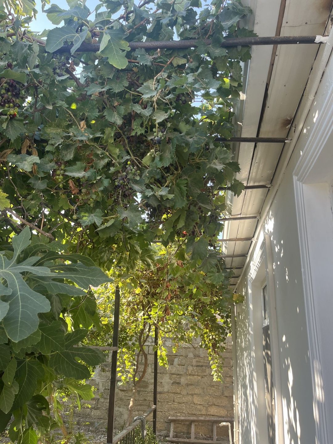 Satılır 4 otaqlı həyət evi/bağ evi 110 m² — Ev, villa, Bakı (4)