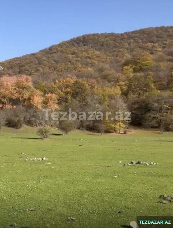 Oğuzda 81-sot — Torpaq, Bakı (5)