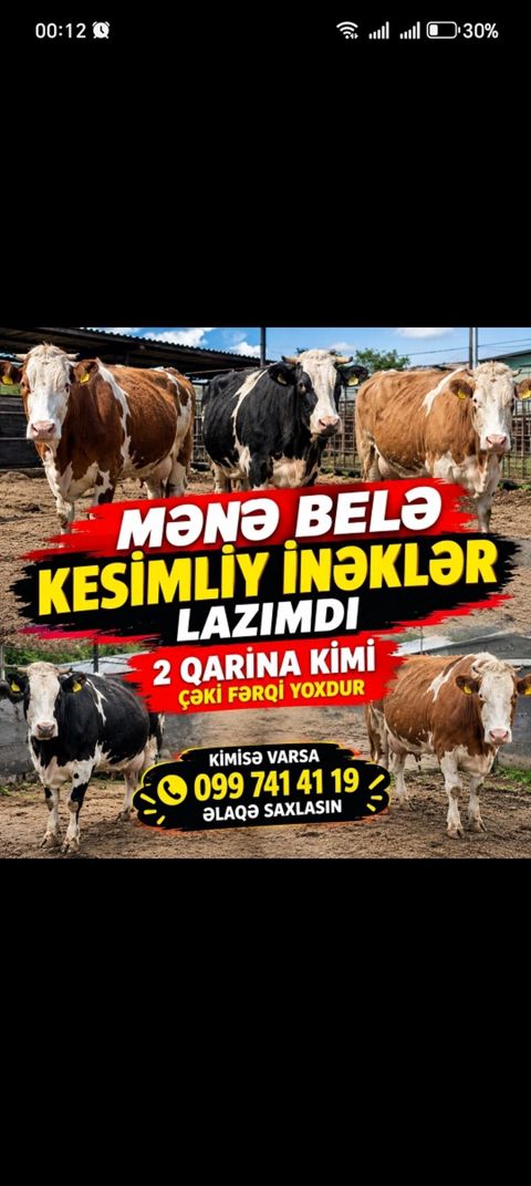 Salam — Bakı