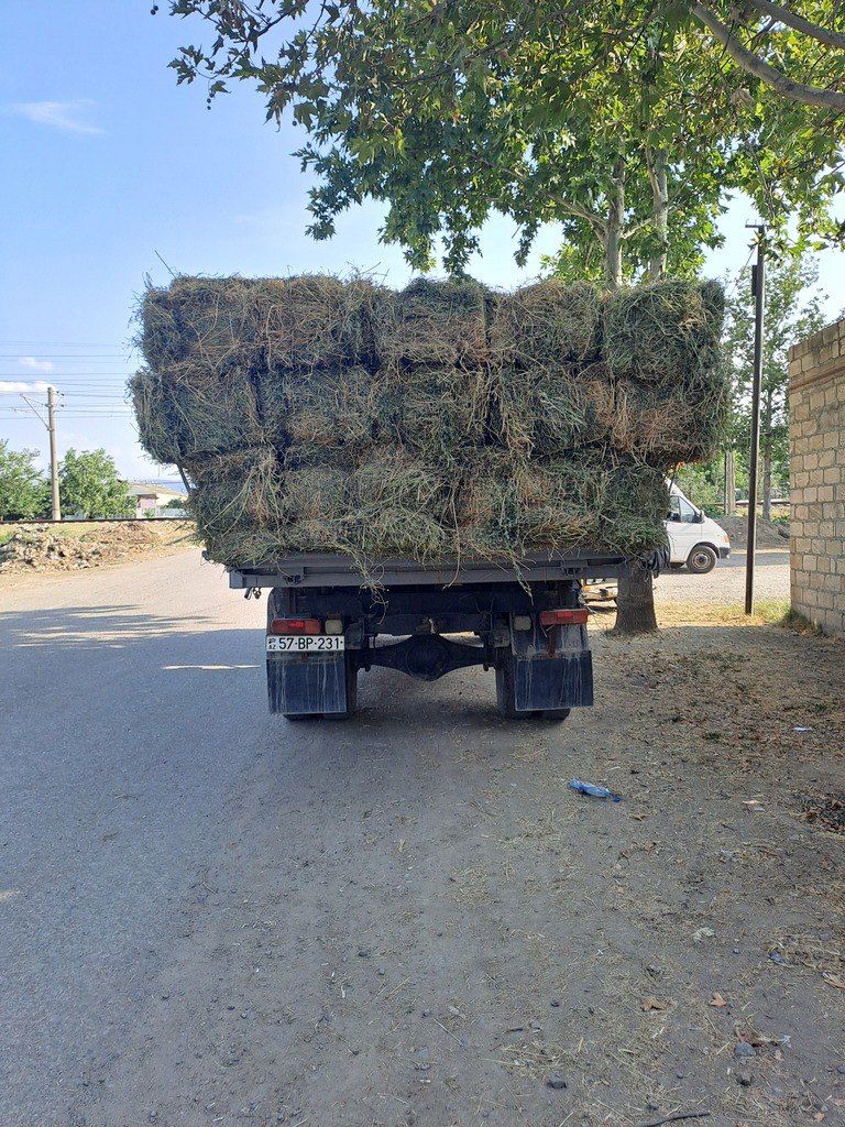 GAZ 53, 4.3 L, 1994 il, 257 694 km 57-BP-231 — Yük maşınları, Şəmkir (3)