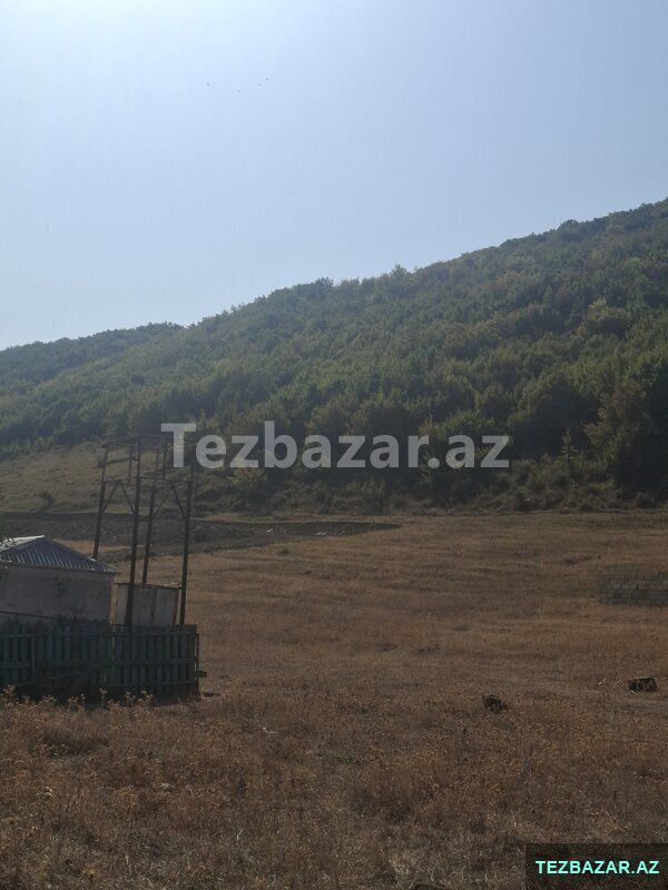 Şamaxı torpaq — Torpaq, Şamaxı (3)