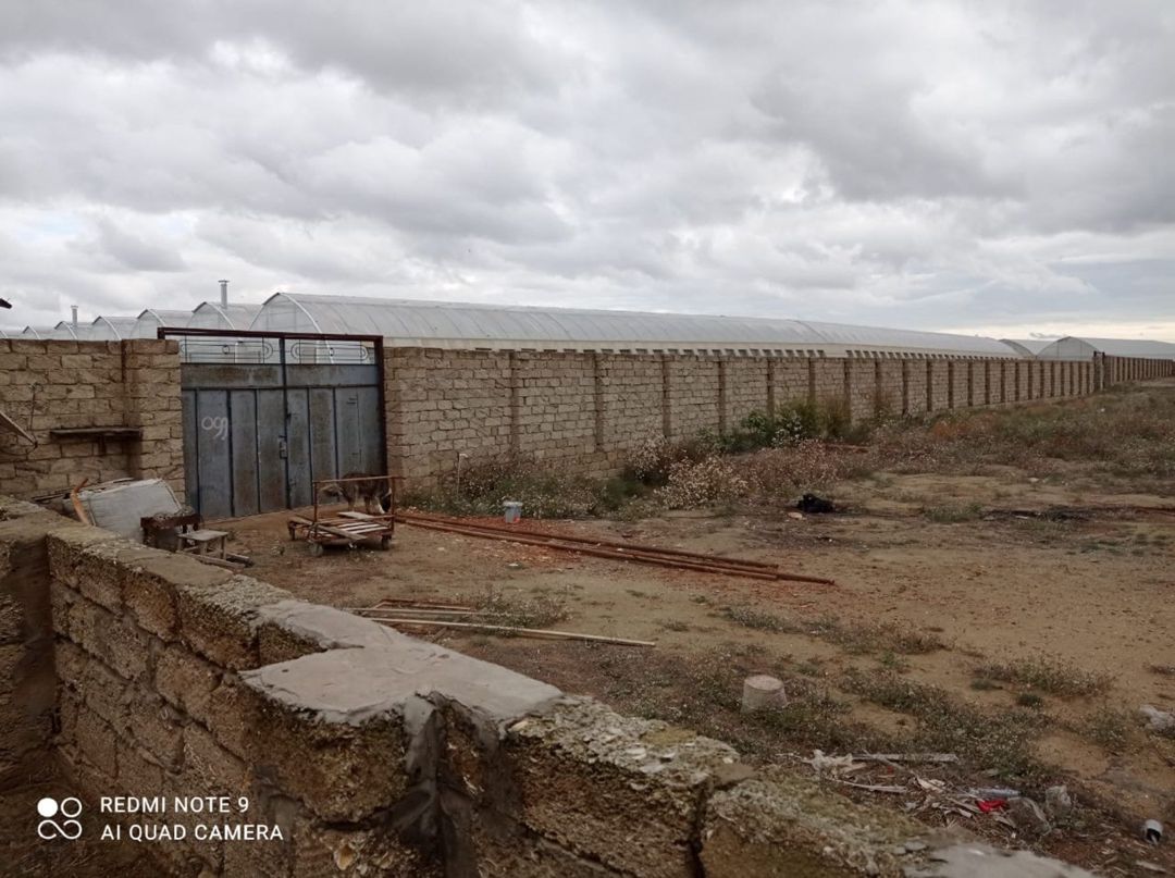 Satılır obyekt 115 m² — Əmlak, Bakı (4)