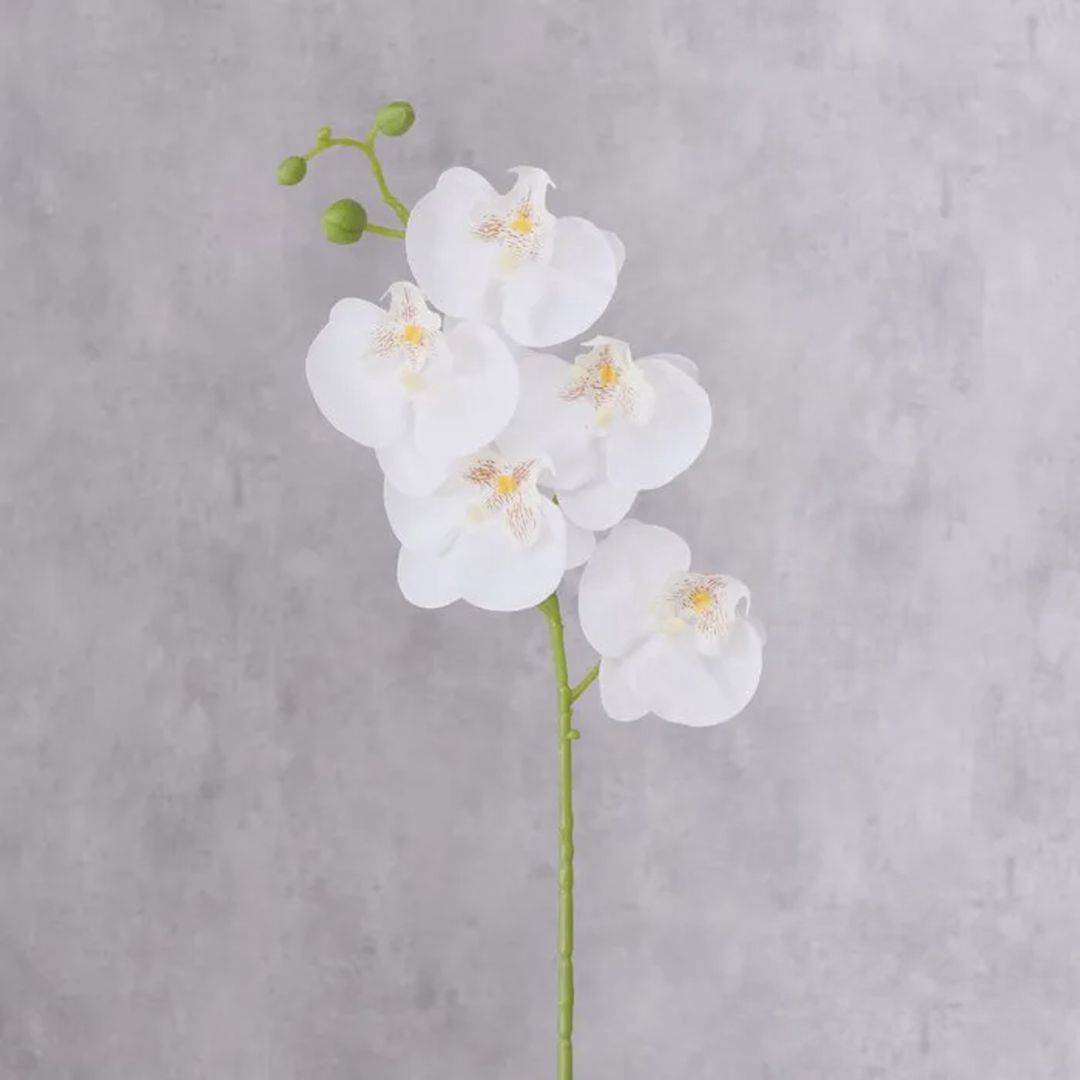 Süni çiçək Boltze Orchid, 69 sm — Mallar, Bakı (2)