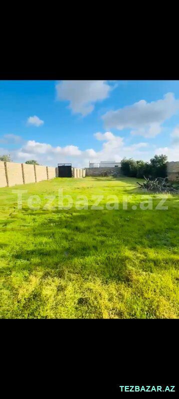 Buzovna 11 sot kupçalı torpaq satılır — Torpaq, Bakı (7)