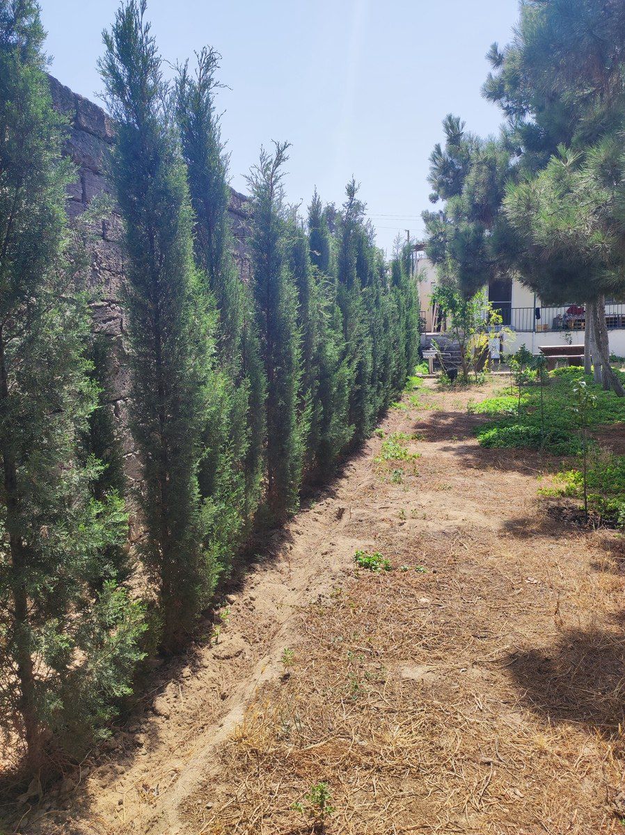 Satılır 4 otaqlı həyət evi/bağ evi 160 m² — Ev, villa, Bakı (4)