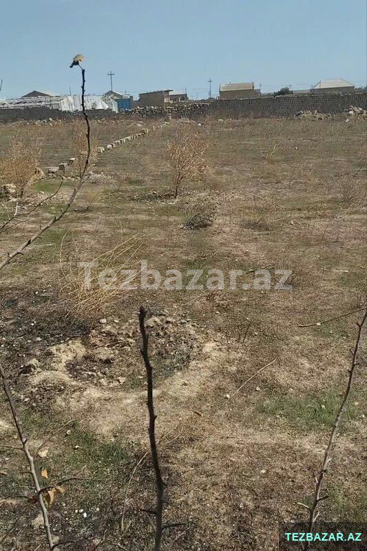 Земельный участок в Туркан — Torpaq, Bakı (4)