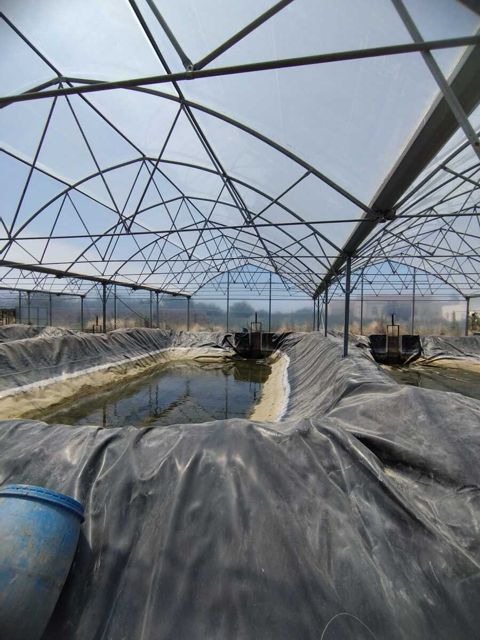 Satılır obyekt 10000 m² — Bakı