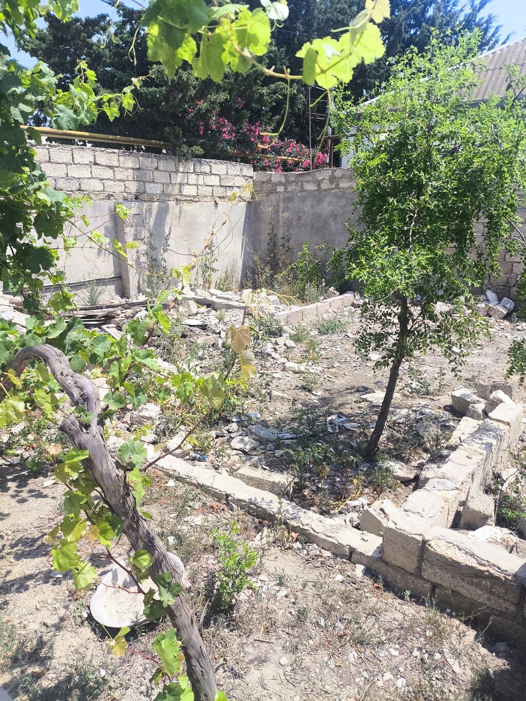 2 sot, Tikinti, Bələdiyyə — Torpaq, Digah (4)