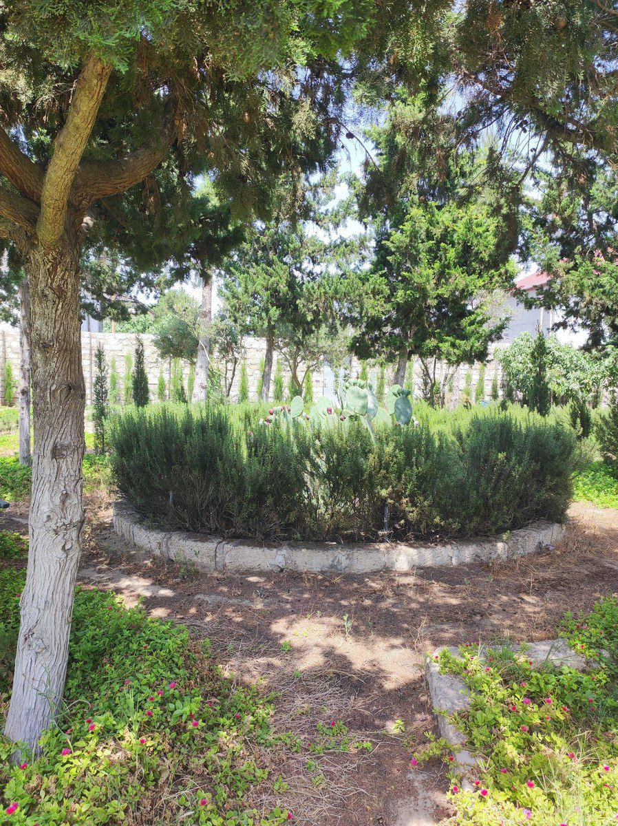 Satılır 4 otaqlı həyət evi/bağ evi 160 m² — Ev, villa, Bakı (2)