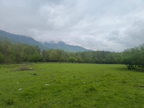 Satılır torpaq 71 sot — Qəbələ