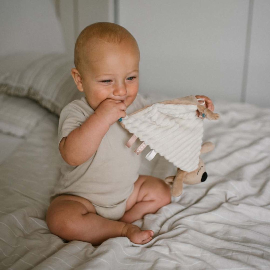 Qucaqlama oyuncağı Babyono Koala Charlie 1559, poliester, bej, 25х25 sm — Mallar, Bakı (3)