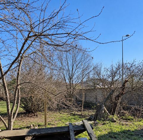 Satılır torpaq 14 sot — Salyan