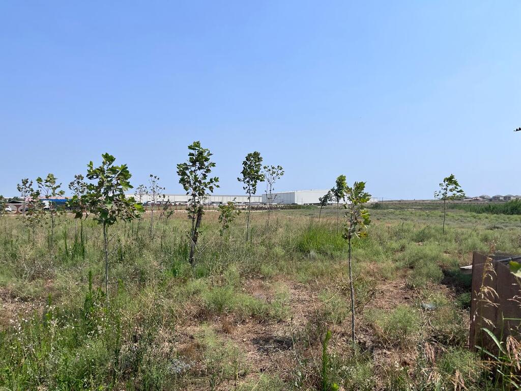 Satılır torpaq 120 sot — Torpaq, Bakı (10)